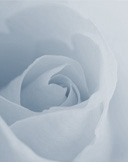 Profilbild Annerose Huber