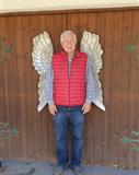 Profilbild Wilfried Strohmaier